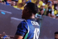 World Cup Fan GIF