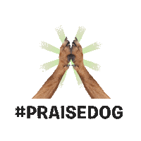 Barkbox dog puppy dogs bark Sticker