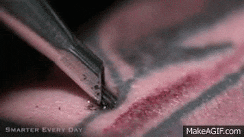 motion tattoo GIF