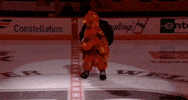 Ice Hockey Sport GIF by NHL