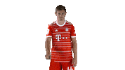 No Way Football Sticker by FC Bayern Munich