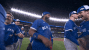 Blue Jays Canada GIF by Toronto Blue Jays