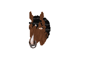 Horse Love Sticker