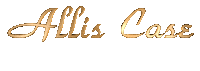 alliscase allis case Sticker