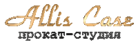 alliscase allis case Sticker