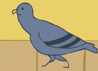 giphy.webp
