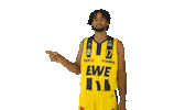 Ewe Baskets Basketball Sticker by EWE Baskets Oldenburg
