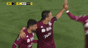 GIF by TD Más