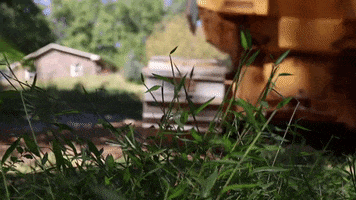 Grass Grading GIF by JC Property Professionals
