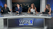 wgn-tv fist pump GIF by WGN Morning News