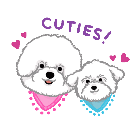 Cuties Bichonfrise Sticker