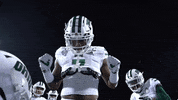 Ncaa Football GIF by Ohio Bobcats