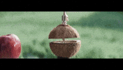 michel gondry GIF by ADWEEK