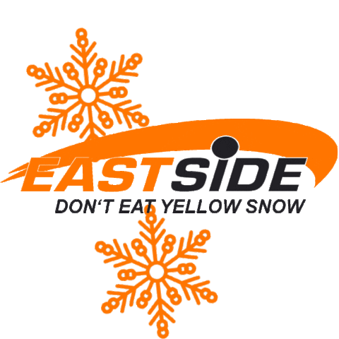 FunSportVision giphyupload snow winter snow flakes Sticker