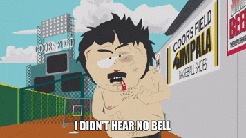 I Didn't Hear No Bell