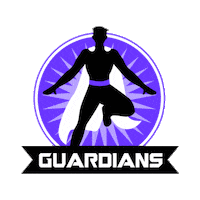 Guardians Sticker by CleverITGroup