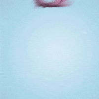 watchyourego pink 3d blue hold on GIF