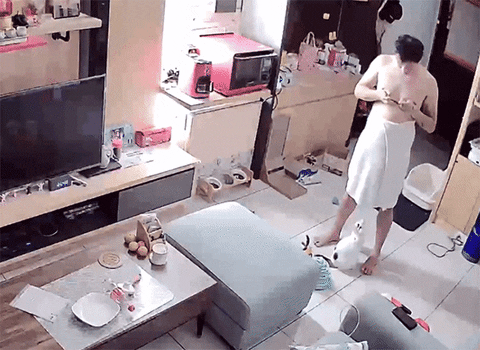 cuteanimalland giphyupload GIF