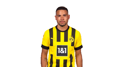 Borussia Dortmund Hello Sticker by Bundesliga