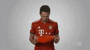 fc bayern love GIF by Bundesliga