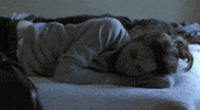 in bed sleeping GIF