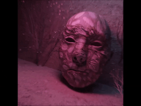 Blossoms GIF by Full Flex Audio