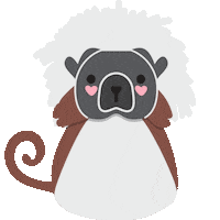 baby monkey colombia Sticker by Kawanimals