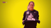 mvcvu GIF by Missouri Valley Conference