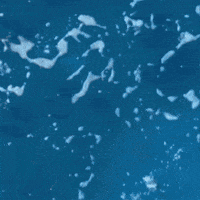 Happy Facial Expression GIF