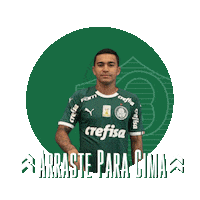 soccer swipe up Sticker by SE Palmeiras