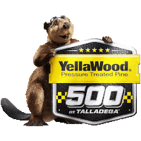 Nascar Beaver Sticker by YellaWood