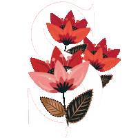 Mnks Harf Sticker