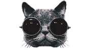 Fashion Cats Sticker by MYA