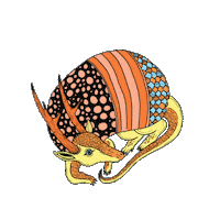 doorcountybrewing milwaukee armadillo hacienda door county Sticker