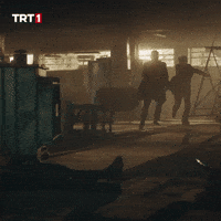 Run Chasing GIF by TRT