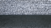 GIF by Sam Mantell