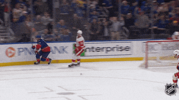Happy National Hockey League GIF by NHL