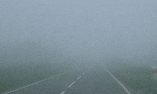 Fog Foggy Morning GIF