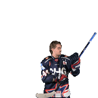 Ice Hockey Sticker by Ravensburg Towerstars