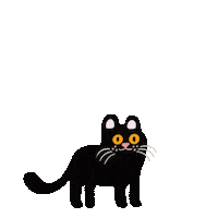 Cat Sticker