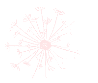Make A Wish Flower Sticker by feierSun