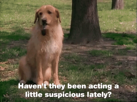 the adventures of pete and pete episode 3 GIF