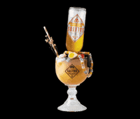 Summer Beach GIF by SALITOS