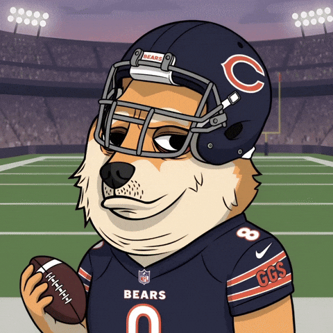 Chicago Bears Football GIF by Doge Pound