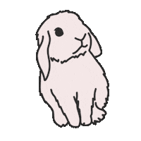 tansyandfreckle bunny rabbit holland lop tansyandfreckle Sticker