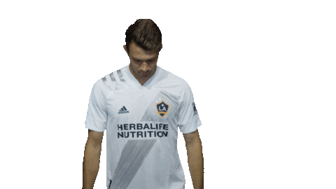 Los Angeles Football Sticker by LA Galaxy