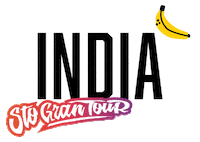 India Sgt Sticker by Sto Gran Tour