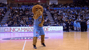 liga endesa basketball GIF by ACB