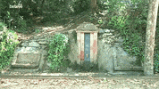 beteve fonts turisme collserola GIF