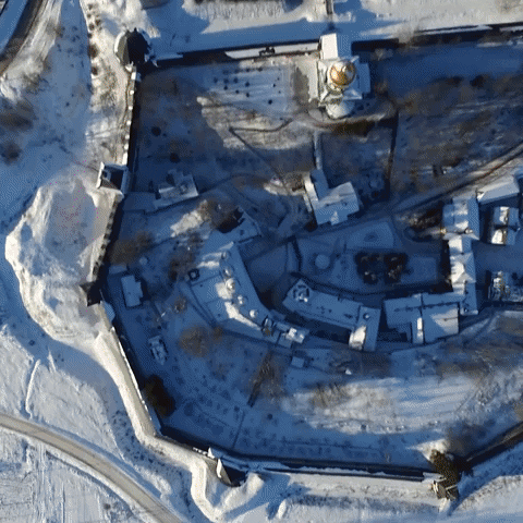 rt-espanol giphyupload GIF